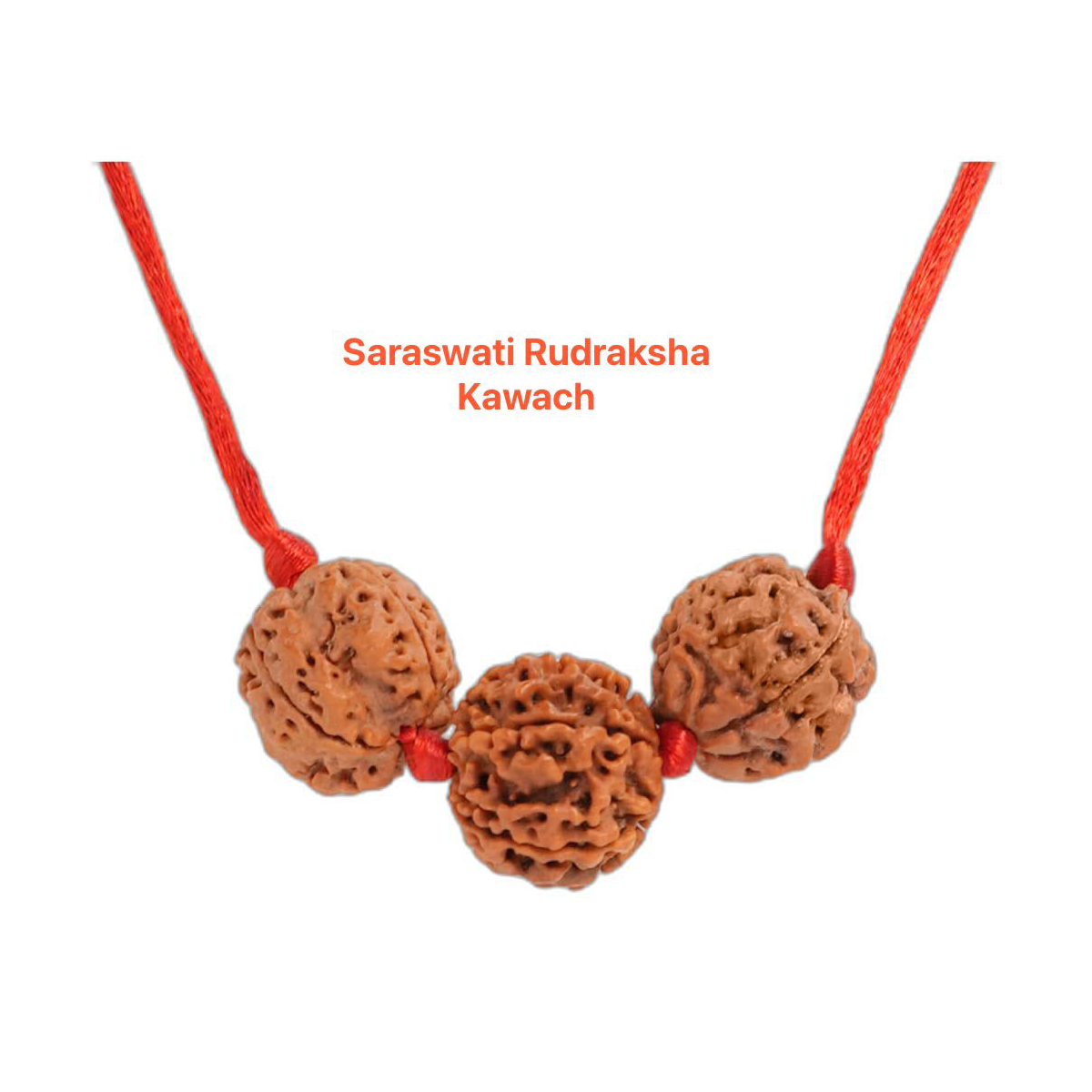 Saraswati Kawach for (career & studies)1
